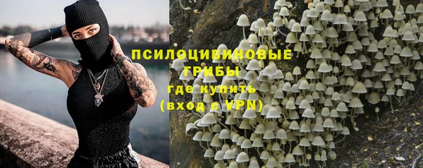 бошки Алексеевка